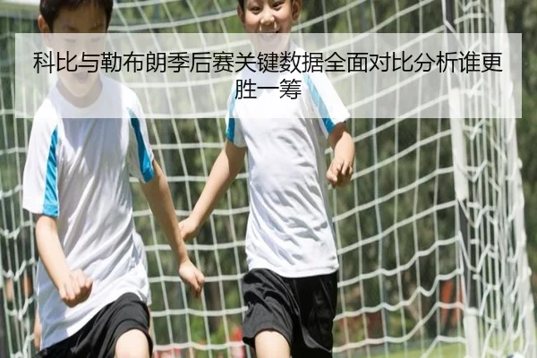 科比与勒布朗季后赛关键数据全面对比分析谁更胜一筹
